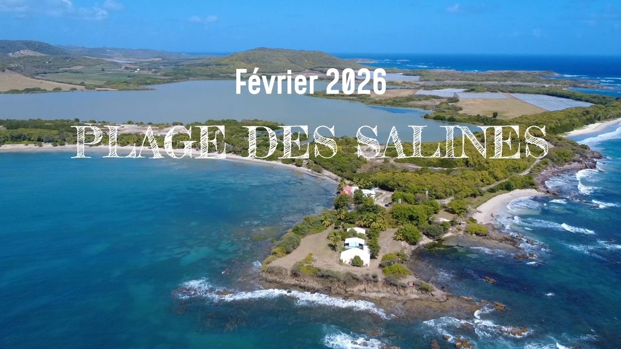 Plage des Salines - Martinique #drone #dji #martinique 