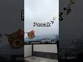 Part 1 | Jalan-jalan ke Puncak sama temen sekelas #vlog #trip #puncak #shorts
