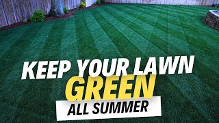 #1 KEY To A CONSISTENTLY GREEN Lawn This Summer