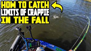 HOW TO LOCATE & CATCH LIMITS OF FALL CRAPPIE!! CRAPPIE FISHING 2026!!