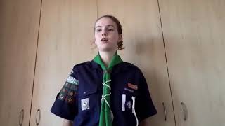 South African Scouts