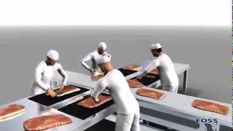 Automatic sorting of pork bellies for pork belly producers