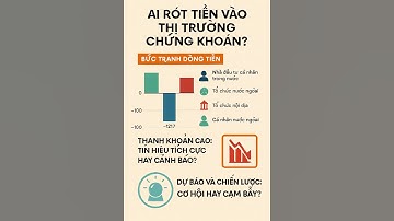 Phiên giao dịch kỷ lục: Ai đang thực sự rót tiền vào thị trường chứng khoán?