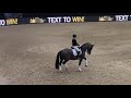 What Makes dressage horse Valegro So Special
