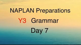 NAPLAN Preparations Y3 Grammar Day 7 - Types of nouns and adjectives Skill Check