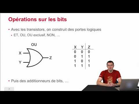 Vidéo: Oeuvres Informatiques (Evolva)