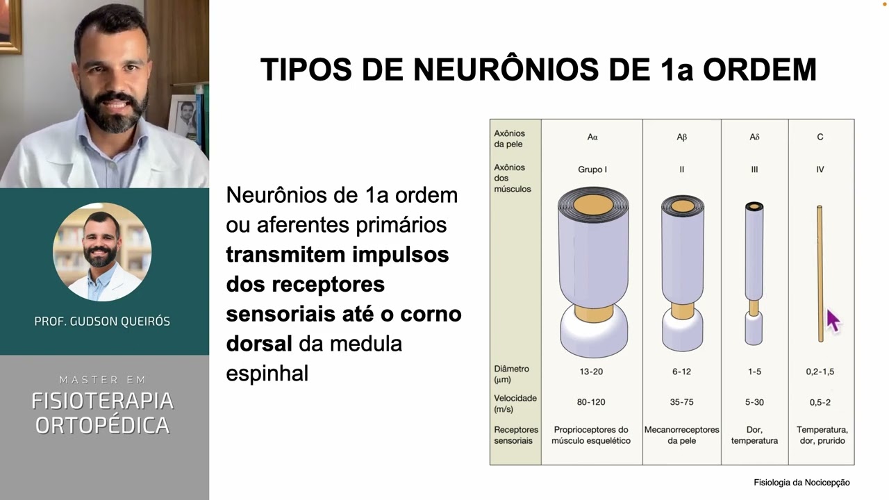 Fisiologia da Nocicepção - Entenda TUDO sobre DOR!