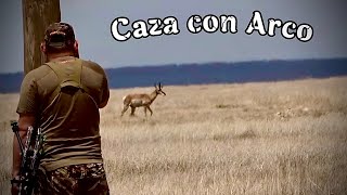 CAZA de Antilope /Berrendo con Arco 🏹 @el235hunter 🔥