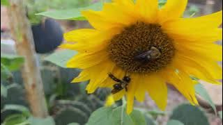 f2889065 638e 4e22 b915 d5189a6598b9