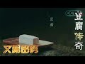 《文明密码》 20180423 豆腐传奇 | CCTV科教