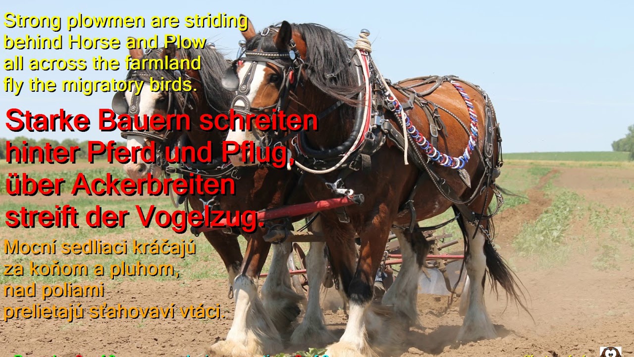 Learn German by Montanara Chor   Land der dunklen Wälder German English Slovak LYRICS SUBTITLES