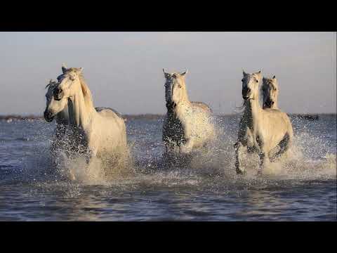 Keep On Running Tom Jones With Lyrics 가사번역 