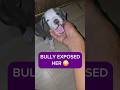 My American Bully Exposed My Mom 😭🐶