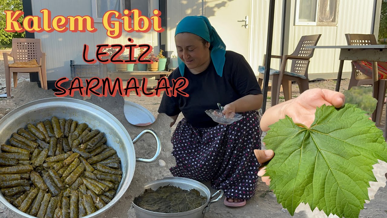 Yok Böyle Üzüm Yaprak Sarması ~ Bir Tencere Dolusu Yaprak Sardık Tadına Doyamadık