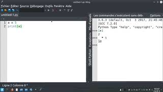 Programmation — Théorie 1 : En pratique avec python
