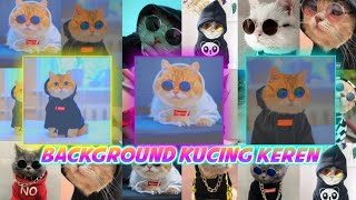 Kumpulan Background Quotes Terbaru||Backgroun Kucing Keren