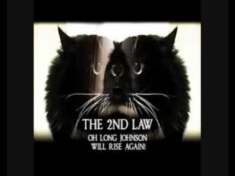 Oh long Johnson cat 🐱 (SUBTITLES INCLUDED!) #fypシ #catsoftiktok #ohlo, Cat Singing