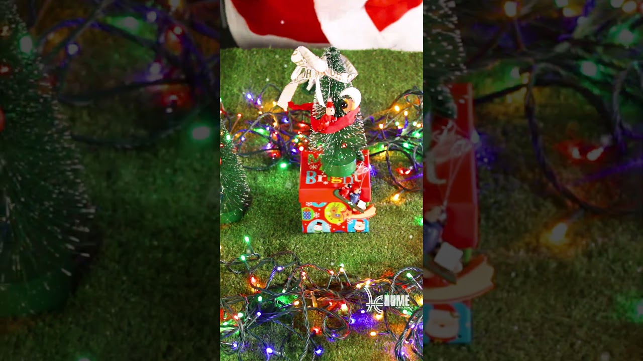 3 Easy Ways to Celebrate a Sustainable Christmas