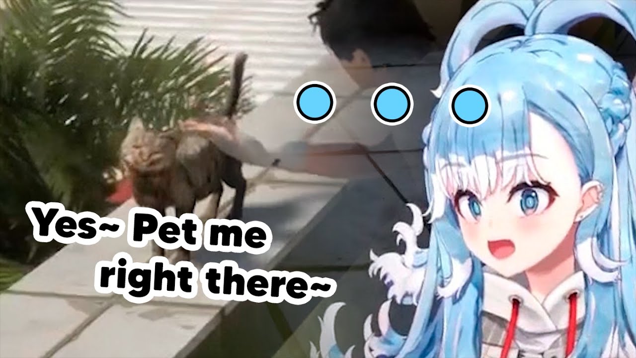 Kobo didn't expect this cat to suddenly talk in Japanese【EngSub】