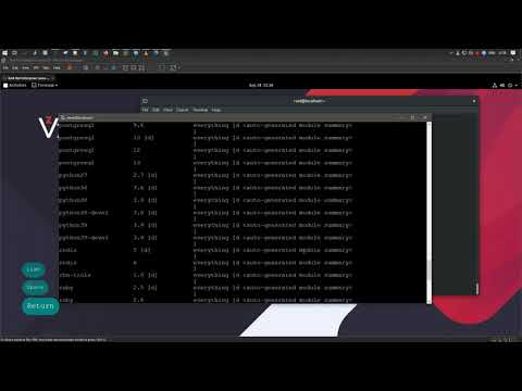 скачать и запустить котенка kitty ssh client