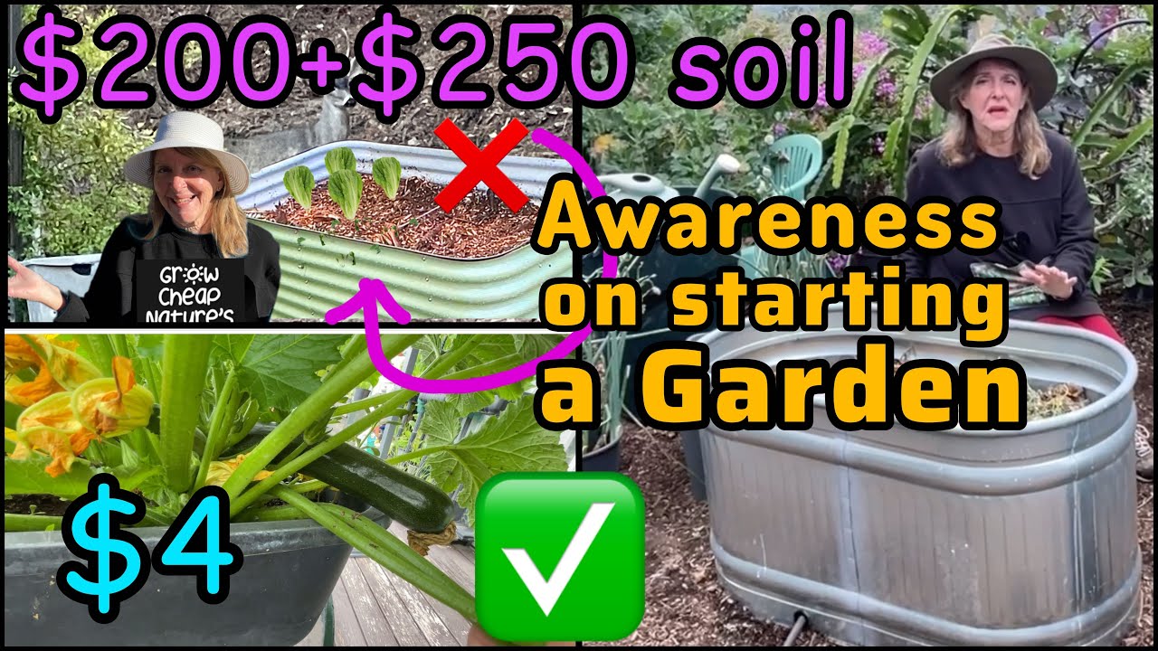 What They Don't Tell YOU on Raised Garden Beds vs CHEAP Container Gardening EASY Ideas Tips No