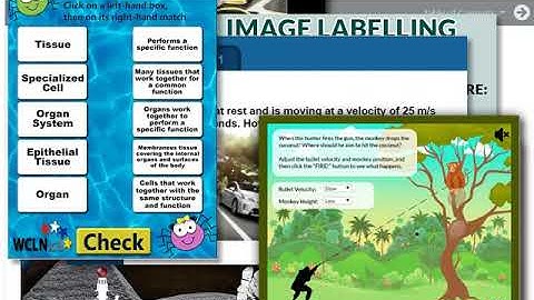 WCLN - Science Course Summary