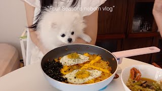 Vlog 🐶🍳 House food after moving, daily life in a new house, house with a cute dog, kimchi porridge screenshot 5