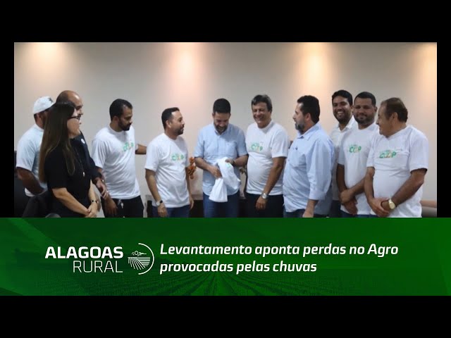 Levantamento aponta perdas no Agro provocadas pelas chuvas