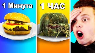 Видео Время Жизни ЕДЫ в ЗАМЕДЛЕННОЙ СЪЕМКЕ! / РЕАКЦИЯ на ГНИЕНИЕ ЕДЫ в РЕАЛЬНОЙ ЖИЗНИ! (автор: Raily)