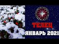 ♉ ТЕЛЕЦ - ГОРОСКОП НА ЯНВАРЬ 2021 ✅ астропрогноз от Аннели Саоволайнен