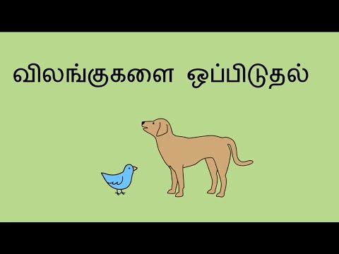 விலங்குகளை ஒப்பிடுதல் - Comparing Animals (Tamil)
