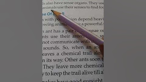 class V EVS chapter no-8 searching for food