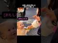 外国人家族が驚いた日本人の優しさ