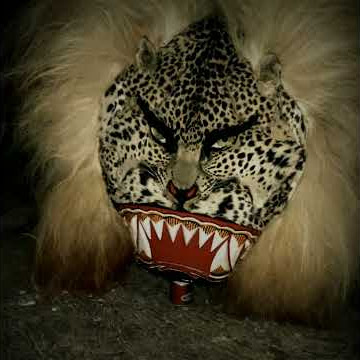 Status wa reog ponorogo macan tutul