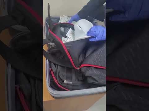 Panamá retiene a viajero cubano con más de 135 mil dólares sin declarar en el aeropuerto de Tocumen