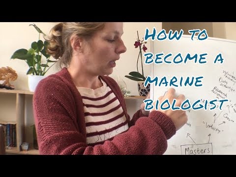 Wie ein Meeresbiologe werden