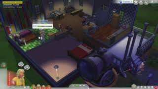 Paedophile in Sims 4?