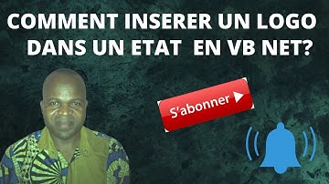 Comment insérer un logo dans un état en VB NET ?