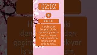 Tekrar Eden Saatler 0202 Açıklamayı Okuyunuz