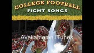 We're Loyal To You - University of Illinois - From ...