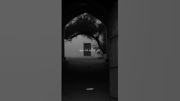 ويوم يعض الظالم على يديه #متابعه #القرآن_الكريم #اللهم_صل_على_محمد #سورة_الفرقان
