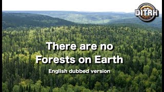 screenshot of the youtube video