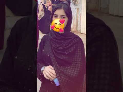 Nem Pasure Nem Panowar Der Maze Dar Ghazall Da Tulo Musaparu Ta De Dalae We