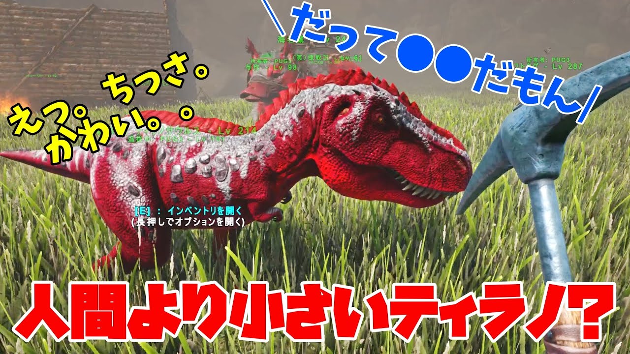Ark ロストアイランド 14 人間より小さいティラノサウルス ブリーディングでティラノ軍団作んぞ ティラノの卵を産んで育ててみようの回 アーク Lost Island Youtube