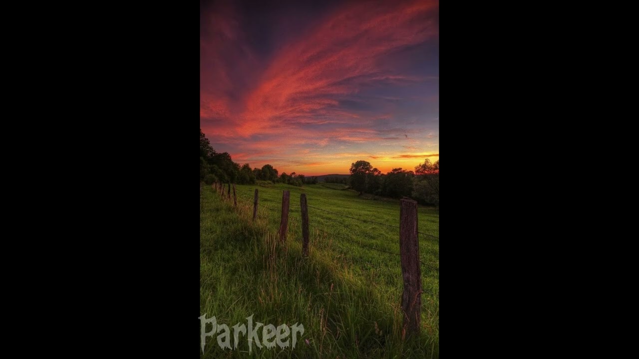 (FREE) Felipe Amorim x Wiu x Arthurzim ~ Trap x Piseiro ~ Type Beat "Na Hilux" (Prod.Parkeer)