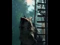 giganotosaurus vs giganotosaurus #fypシ #animation #рекомендации #jurassicworld