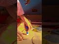 making tricolor circle