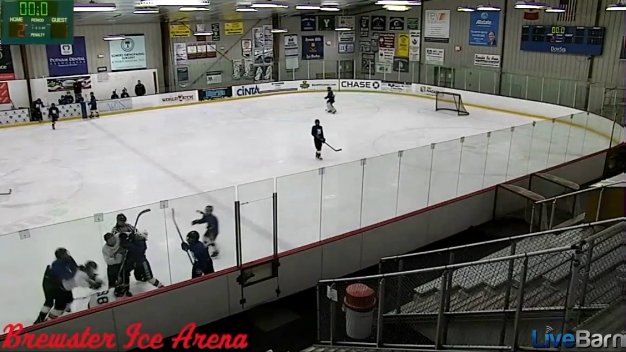 INSANE HOCKEY FIGHT YouTube