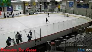 INSANE HOCKEY FIGHT screenshot 5