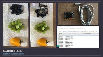 Adafruit CLUE - KNN Algo - Fruit & Produce Classifier